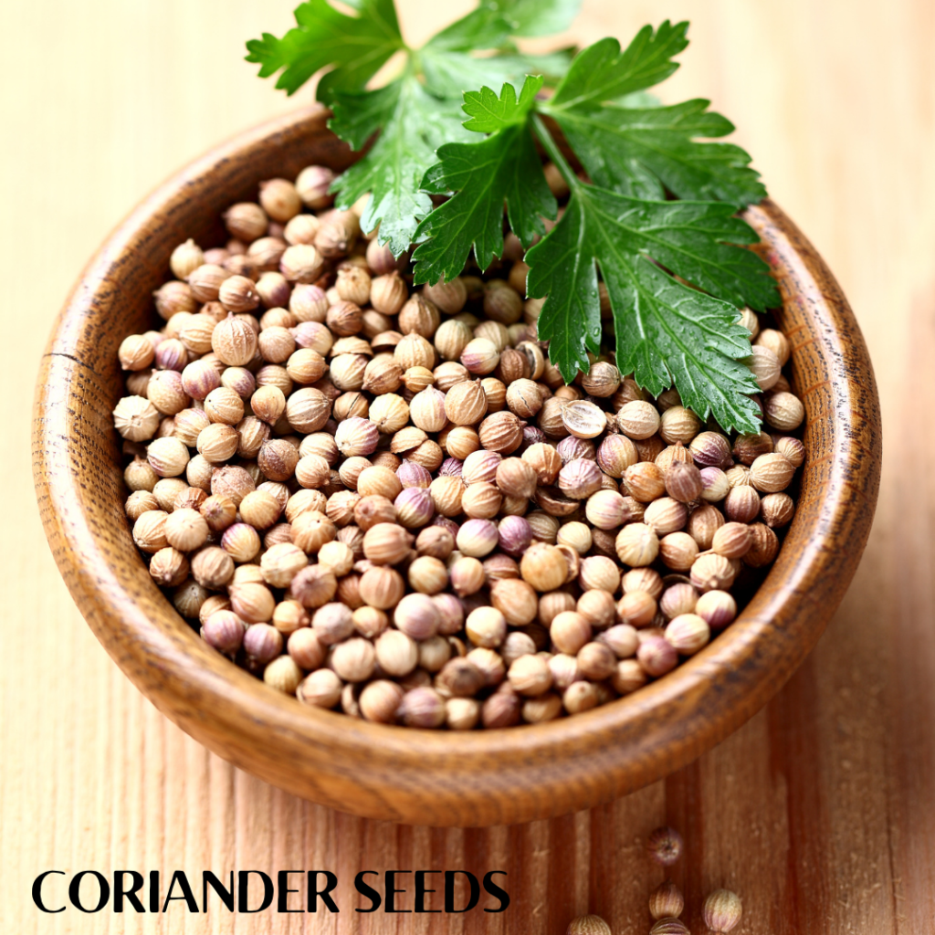 coriander seeds